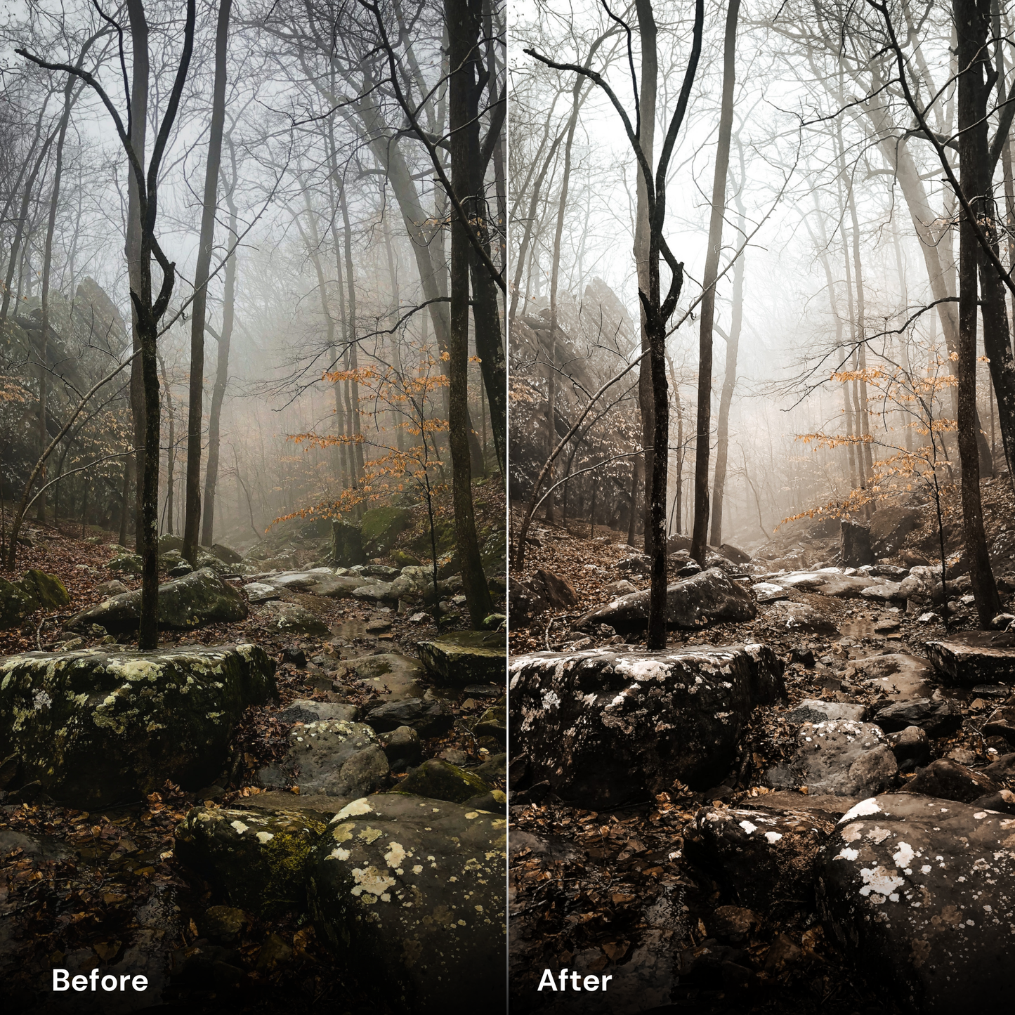 presets Deep Forest - LrPresets