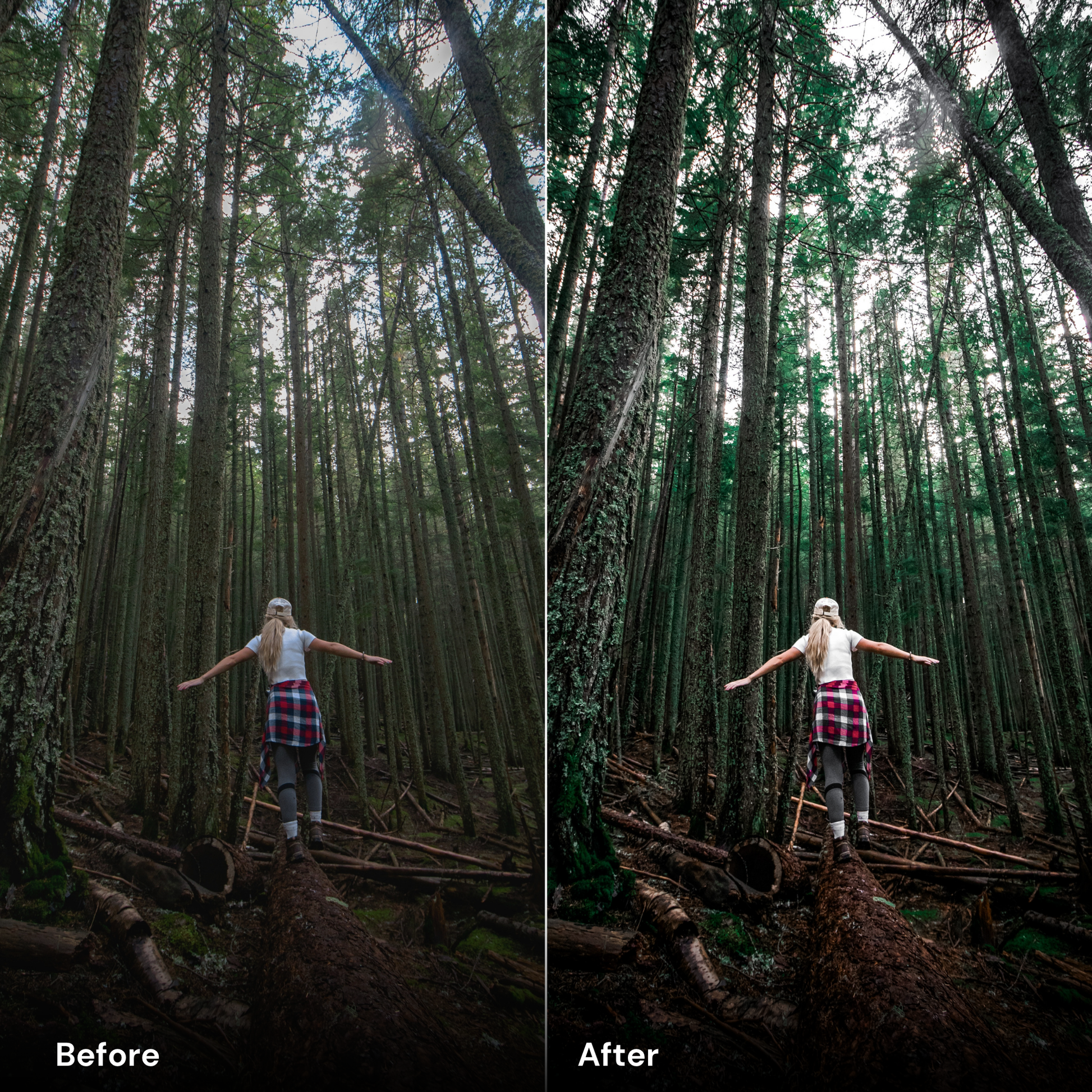 presets Forest Green - LrPresets