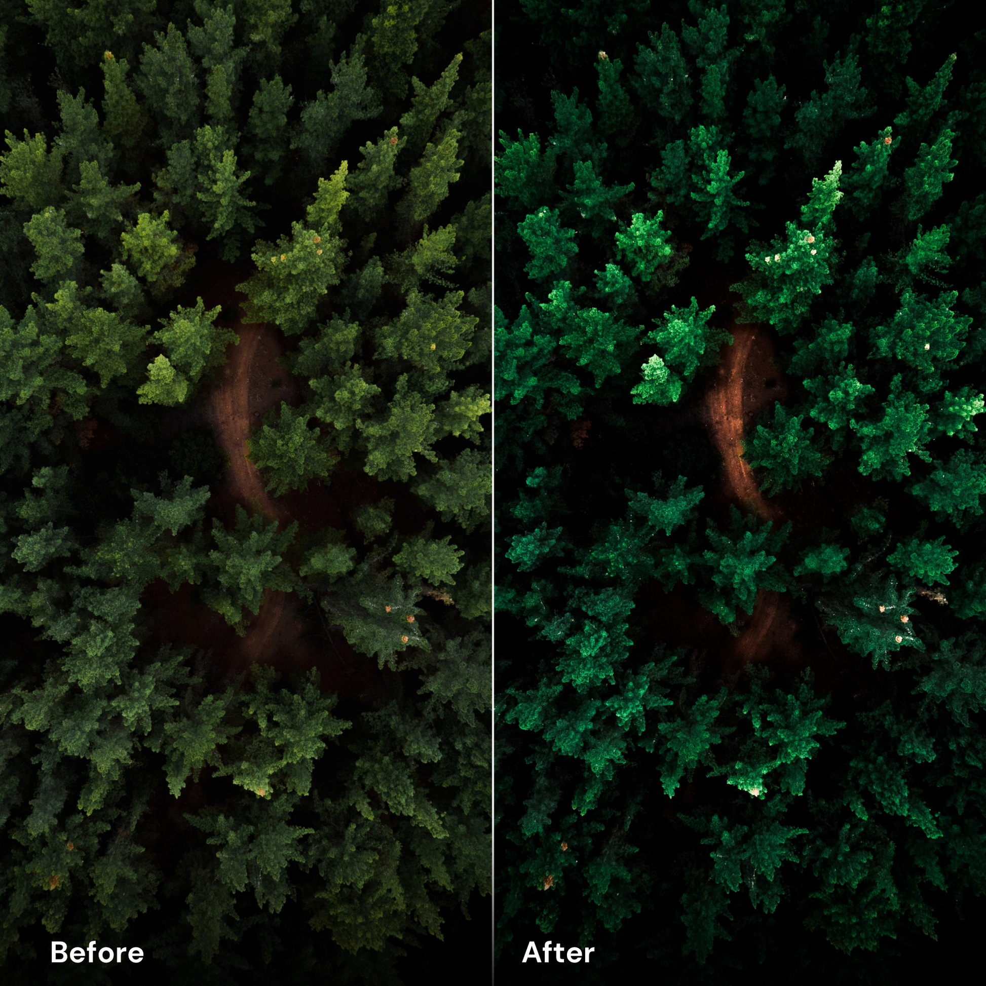 presets Forest Green - LrPresets