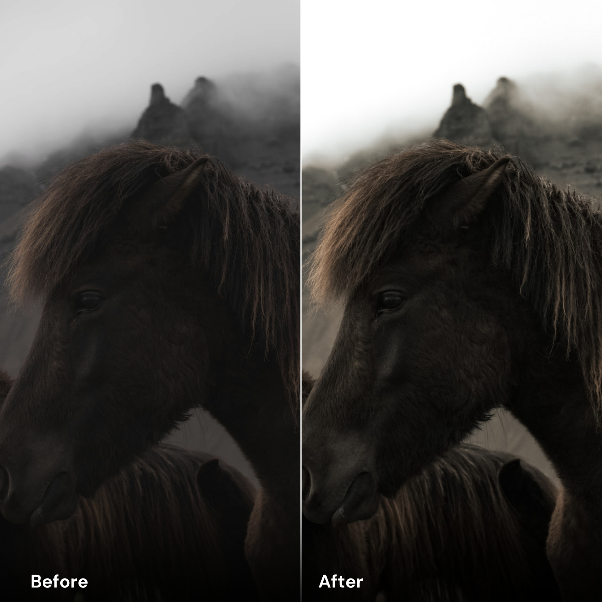 presets Deep Forest - LrPresets