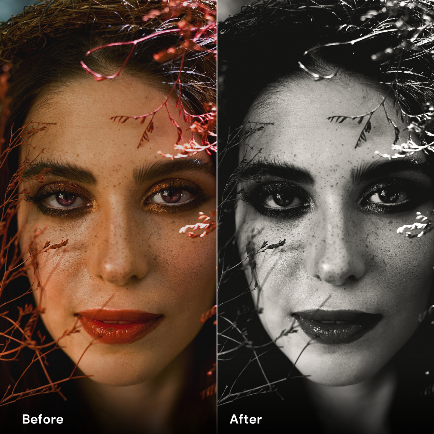 presets Black & White - LrPresets