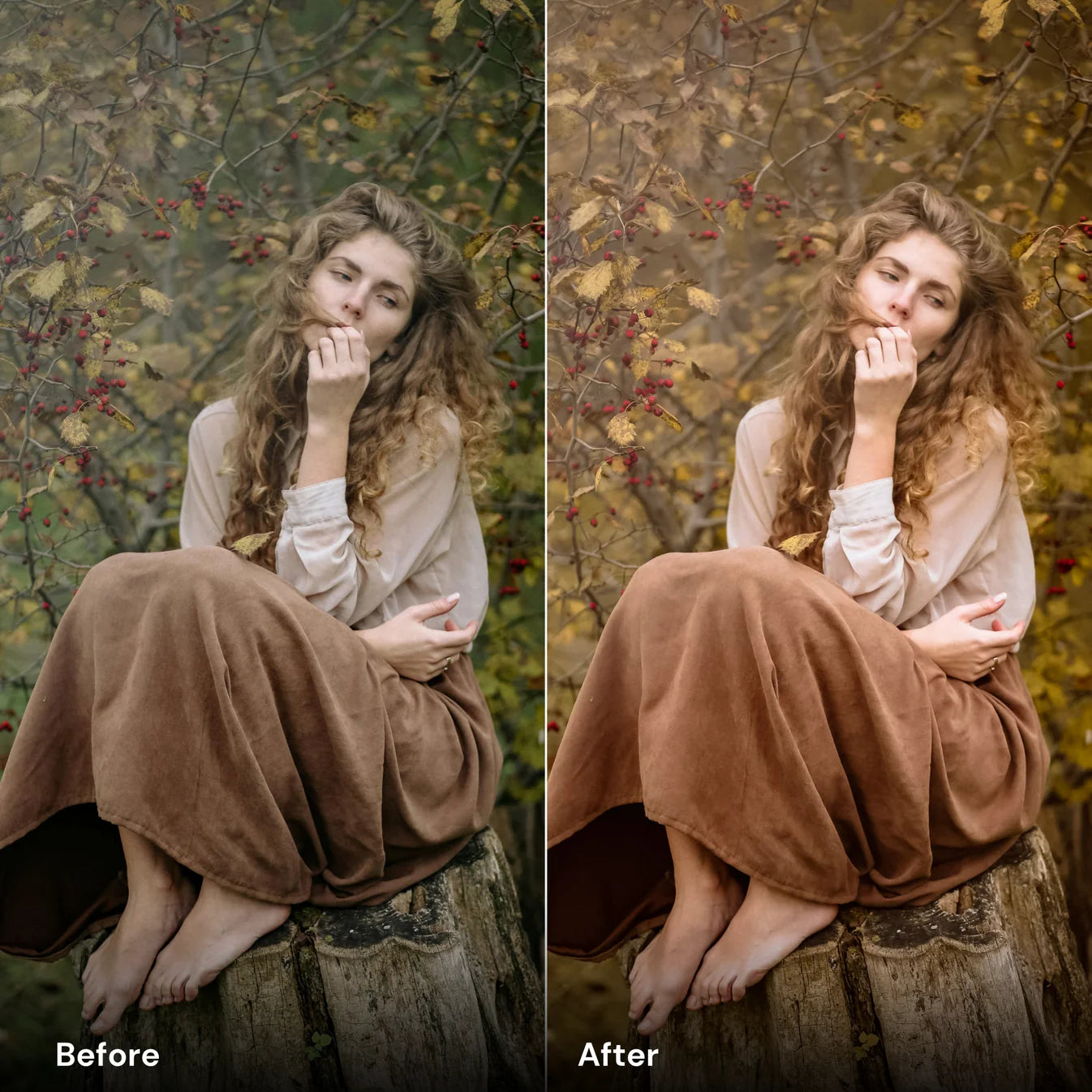 Presets Autumn Vibrance - LrPresets