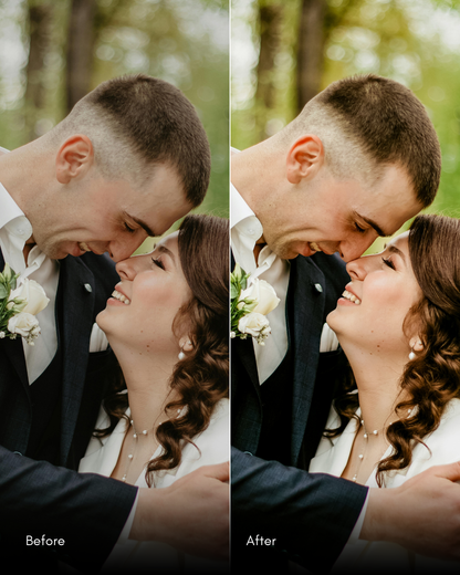 Ultimate Master Bundle  +1200 Professional Presets