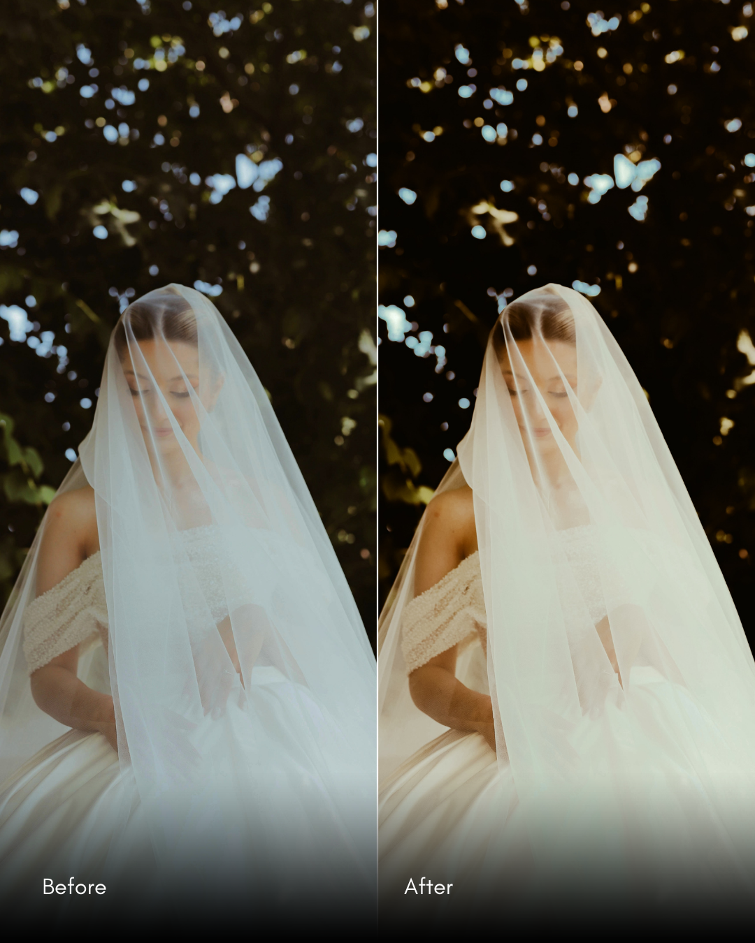 Ultimate Master Bundle  +1200 Professional Presets