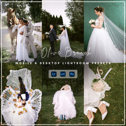 Wedding Bundle 700 presets