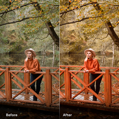 Ultimate Master Bundle  +1200 Professional Presets