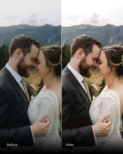 Ultimate Master Bundle  +1200 Professional Presets