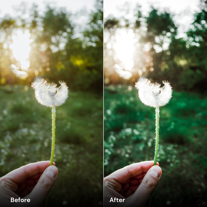 nature presets Forest Green - LrPresets