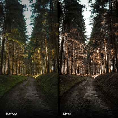 nature presets lightroom - Deep Forest - LrPresets