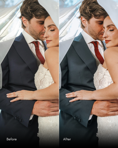 Ultimate Master Bundle  +1200 Professional Presets