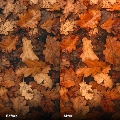 Presets Autumn Vibrance - LrPresets