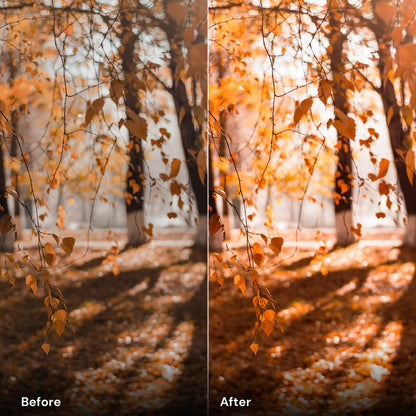 Presets Autumn Vibrance - LrPresets