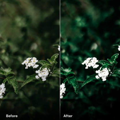 nature presets Forest Green - LrPresets