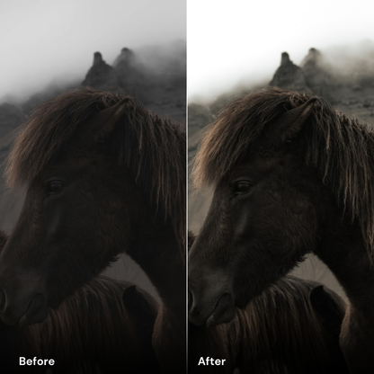 nature presets lightroom - Deep Forest - LrPresets