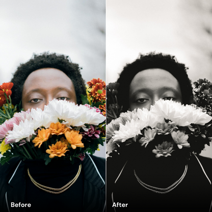 presets Black & White - LrPresets