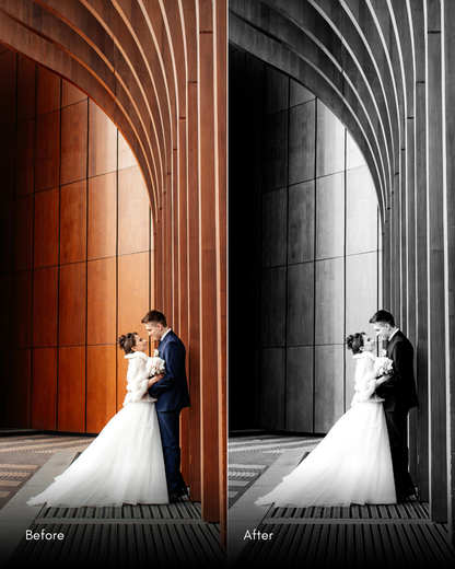 Ultimate Master Bundle  +1200 Professional Presets