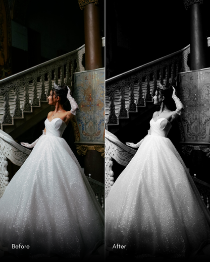 Ultimate Master Bundle  +1200 Professional Presets