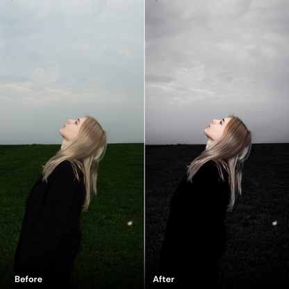 Moody Dark presets - LrPresets