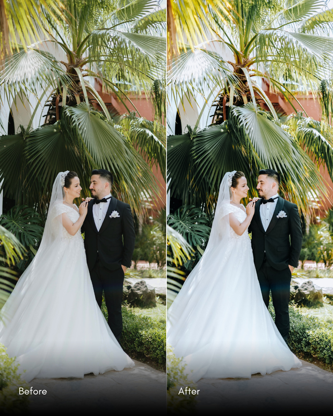 Ultimate Master Bundle  +1200 Professional Presets