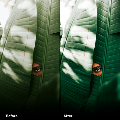 nature presets Forest Green - LrPresets