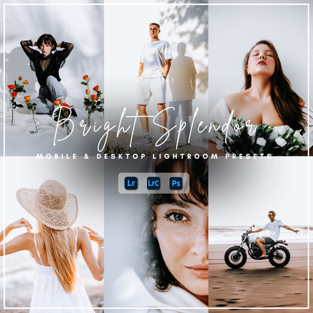 Bundle Master Collection