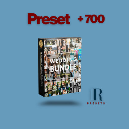 Wedding Bundle 700 presets